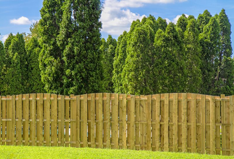 Secluded Privacy Fence