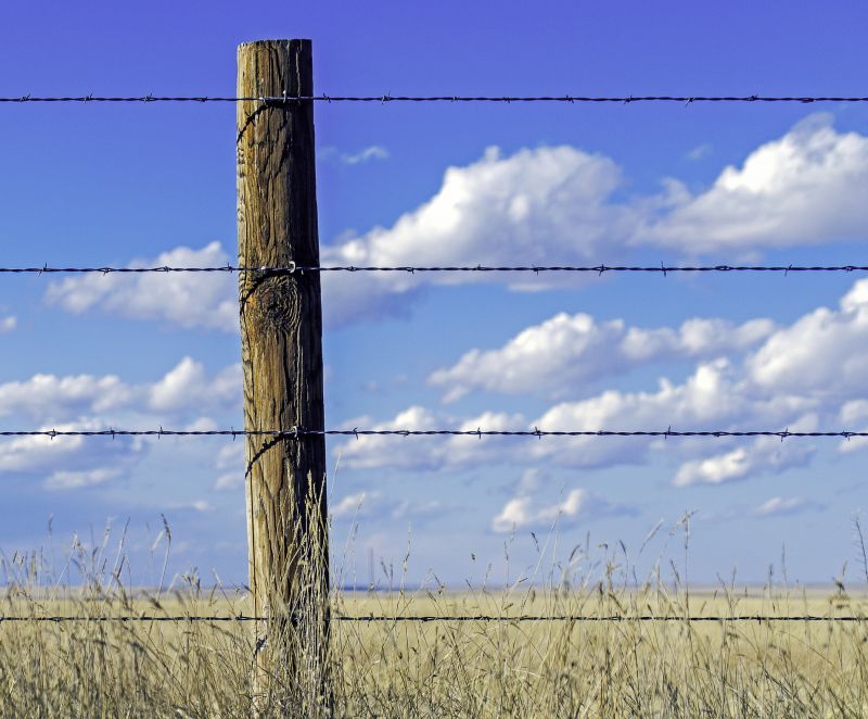 Wire Fencing Service